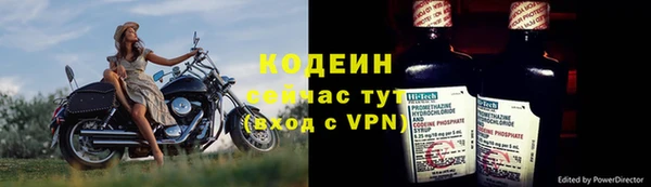 кокс Касимов