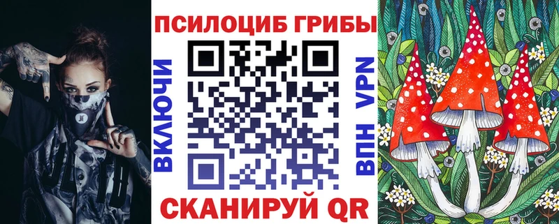OMG онион  Томмот  Псилоцибиновые грибы Magic Shrooms 
